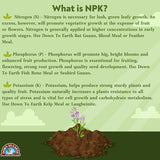 Down to Earth™, Palm Tree 6-2-8, All Natural Fertilizer, Blended (5 LBS.)