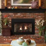 American Hearth Empire Large Innsbrook Direct Vent Insert - 28"