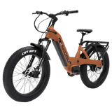 Bakcou Flatlander SD Electric Bike
