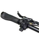 Bakcou Flatlander SD Electric Bike