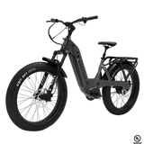 Bakcou Flatlander SD Electric Bike