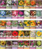 Gardeners Basics Survival & Wildflower 70-Variety Seed Kit - Heirloom