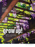 Small Space Gardening -  Big Ideas, Make The Most Of Every Square Inch, Grow Your Own Veggies & Save, Dream Retreats, Create A Haven On Your Deck Patio, Porch Or Backyard, Container Success & More!