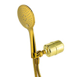 Handheld Shower Filter