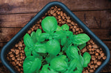GROW!T Clay Pebbles 10 L Growing Media