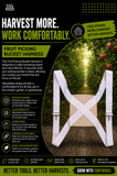Fruit picking bucket harness