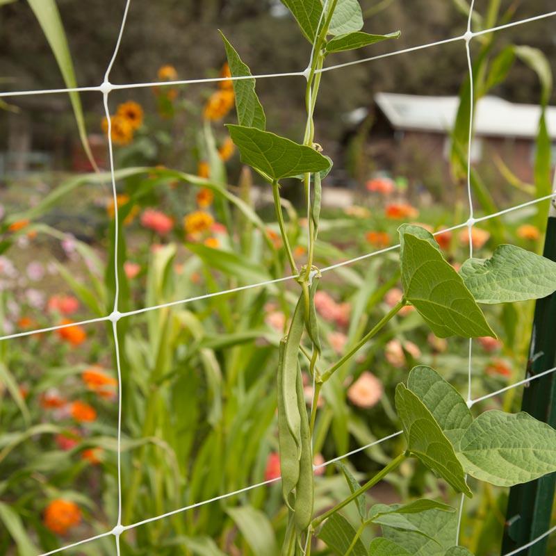 Grow Organic Hortonova Trellis - Thumbnail 3