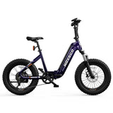 HOVSCO HovBeta 20" Foldable Fat Tire Electric Bike