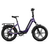 HOVSCO HovBeta 20" Foldable Fat Tire Electric Bike