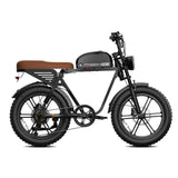 HOVSCO HovGtrs 1500W Moped-style Electric Bike