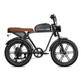 HOVSCO HovGtrs 1500W Moped-style Electric Bike
