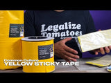 Common Culture Blue Sticky Glue Traps - 10cm x 25cm - 10 Pack (Euro. Standard)