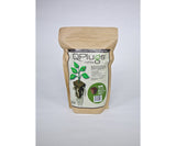 iHORT Q-Plug Cubes bag of 50 Seed Starting/Cloning