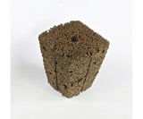 iHORT Q-Plug Cubes bag of 50 Seed Starting/Cloning