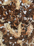 MONSTERA Soil Mix - Houseplant Growing Medium - 3 LB / 2 Gallon