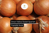 200 Yellow Spanish Sweet Onion Seeds – Allium cepa – Heirloom, Large & Mild, High-Yielding, Perfect for Cooking
