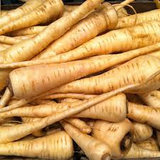 100 All American Parsnip Seeds | Pastinaca sativa Heirloom Variety | Rare Root Vegetable for Fall & Spring Planting in Gardens