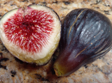 Black Madeira Fig Cuttings, Ficus carica, 2 Hardwood Stems, USDA Zones 7-10