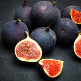 Improved Brown Turkey Potted Fig Tree