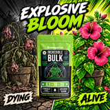 Incredible Bulk – Bloom Booster (0.1-10-25)