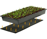 Jump Start Germination Station w/Heat Mat Tray 72-Cell Pack 2" Dome