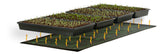 Jump Start Seedling Heat Mat 48" x 20" 107W