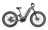Heybike Hero