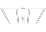 Matrix M4 400W 120-277V - Fixed Spectrum LED