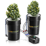 Mars Hydro 5-Gallon Deep Water Culture Hydroponic System Kit w/ 2