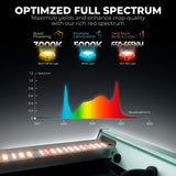 Mars Hydro FC6500 730W Bridgelux 3030 & OSRAM LED Grow Light