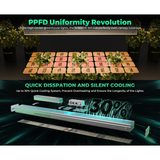 Mars Hydro SP 3000 300W Full Spectrum Grow Room LED Grow Light