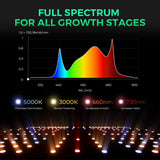 Mars Hydro SP 3000 300W Full Spectrum Grow Room LED Grow Light