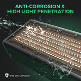 Mars Hydro SP 3000 300W Full Spectrum Grow Room LED Grow Light