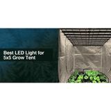 Medic Grow EZ-8 1000W Full Sprectrum LED Grow Light