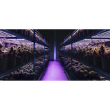 Medic Grow Fold 1200V1 Grow Lights