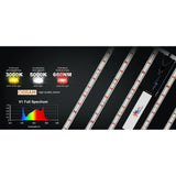 Medic Grow Fold 650 Grow Lights