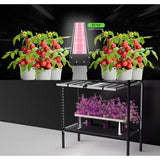 Medic Grow Hell Fire 120W Grow Lights