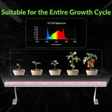 Medic Grow Hell Fire 120W Grow Lights