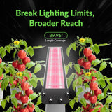 Medic Grow Hell Fire 120W Grow Lights
