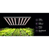 Medic Grow MEDIC BOX 07 Grow Lights