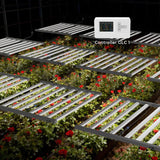 Medic Grow MEDIC BOX 07 Grow Lights