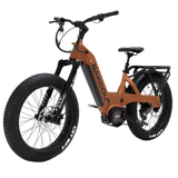 Bakcou Mule SD Electric Bike