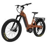 Bakcou Mule SD Electric Bike