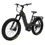 Bakcou Mule SD Electric Bike