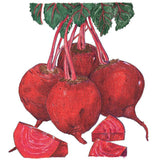 Detroit Dark Red Beet Seeds (Organic)