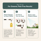 Organic Insecticide for Rose & Flower