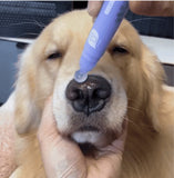 Pet Paw Moistening