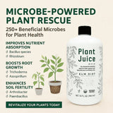 Plant Juice