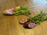 Purple Sweet Potato Slips Variety Set – 10 Molokai + 10 Okinawa Slips – Live Sweet Potato Vine Cuttings