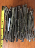 Negronne Fig Tree Cuttings – 3 Fresh Unrooted Ficus Carica ‘Negronne’ Cuttings for Fruit Tree Propagation